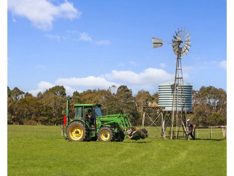 McKenzies Road, Bushfield VIC 3281