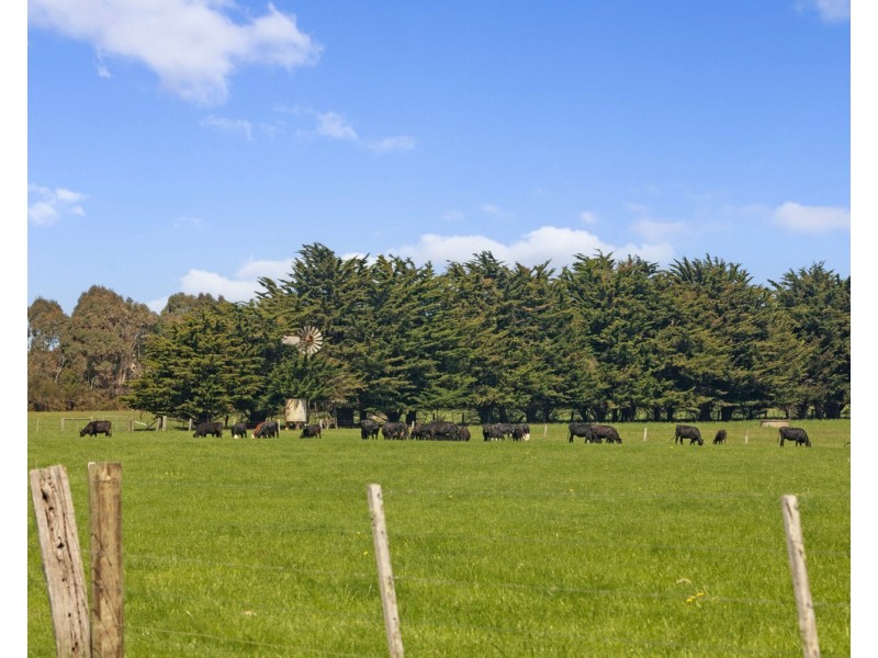 McKenzies Road, Bushfield VIC 3281