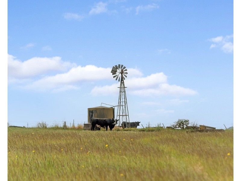 Lake Gorrie Road, Macarthur VIC 3286