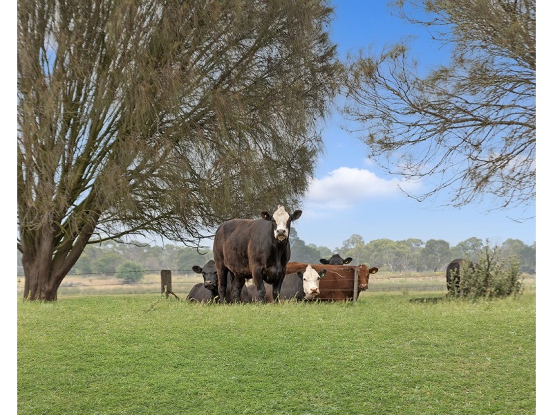 Lake Gorrie Road, Macarthur VIC 3286