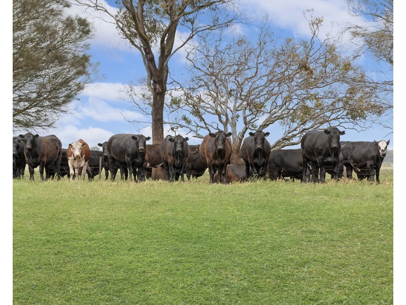 Lake Gorrie Road, Macarthur VIC 3286