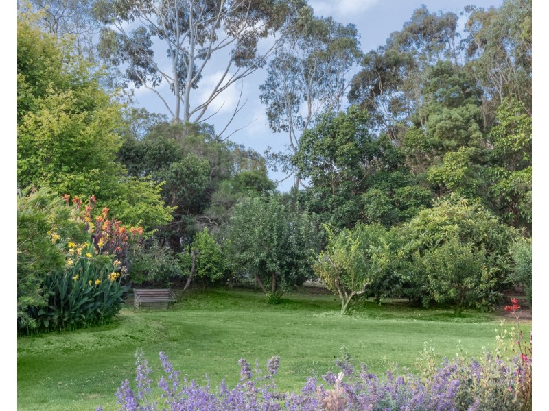 62 Bridge Road, Bushfield VIC 3281