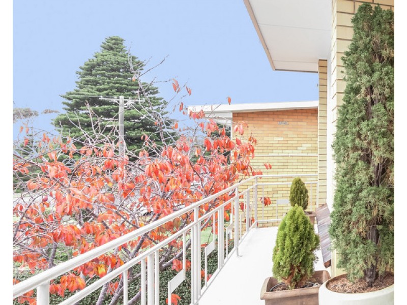 75 Verdon Street, Warrnambool VIC 3280