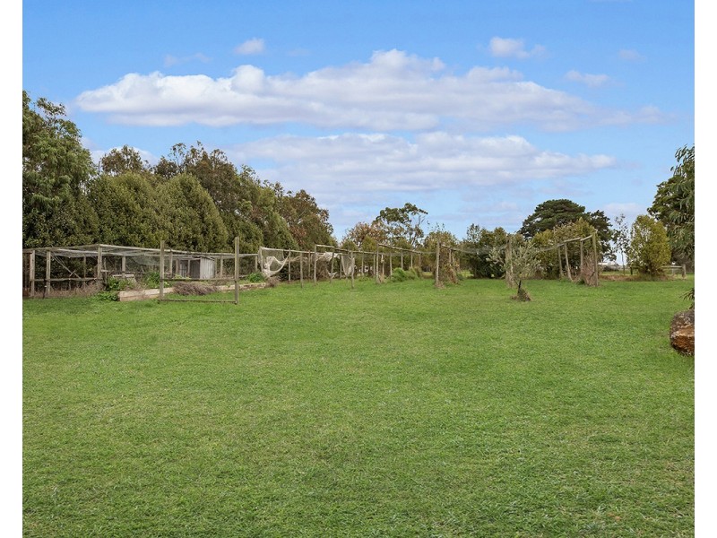 36 Beaver Street, Winslow VIC 3281
