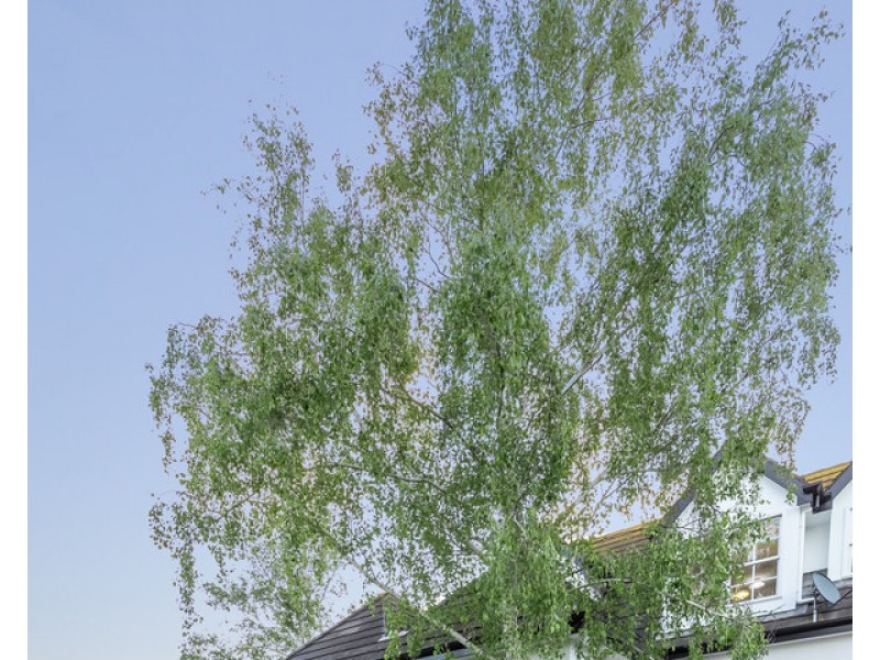 62 Wollaston Road, Warrnambool VIC 3280