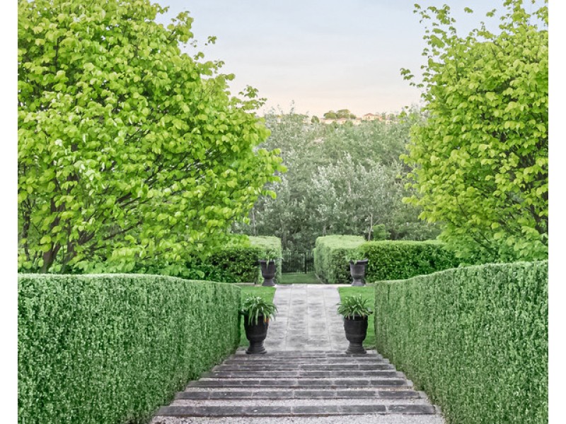 62 Wollaston Road, Warrnambool VIC 3280