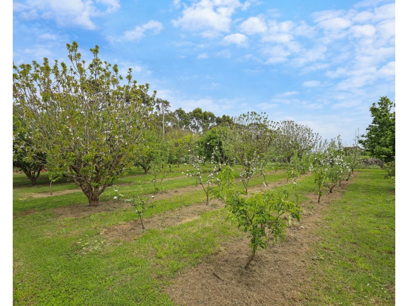 846 Tower Hill Road, Illowa VIC 3282