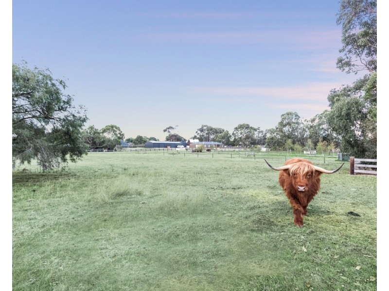 78 Carrolls Road, Allansford VIC 3277