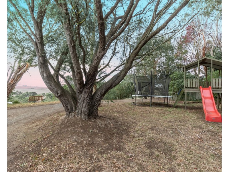 65 Quinns Road, Bushfield VIC 3281