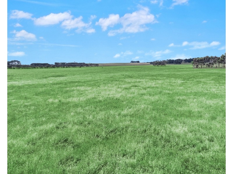 155 Drylakes Road, Allansford VIC 3277