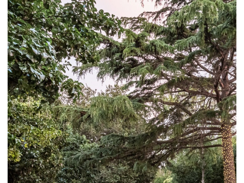 84 Wollaston Road, Warrnambool VIC 3280