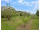 846 Tower Hill Road, Illowa VIC 3282