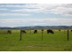 22B Lower Powlett Road, Wonthaggi VIC 3995