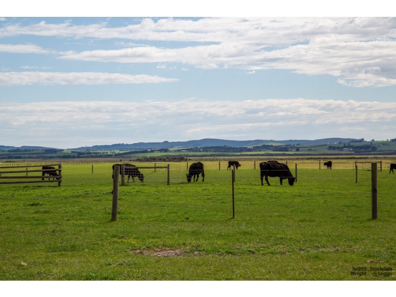 22B Lower Powlett Road, Wonthaggi VIC 3995
