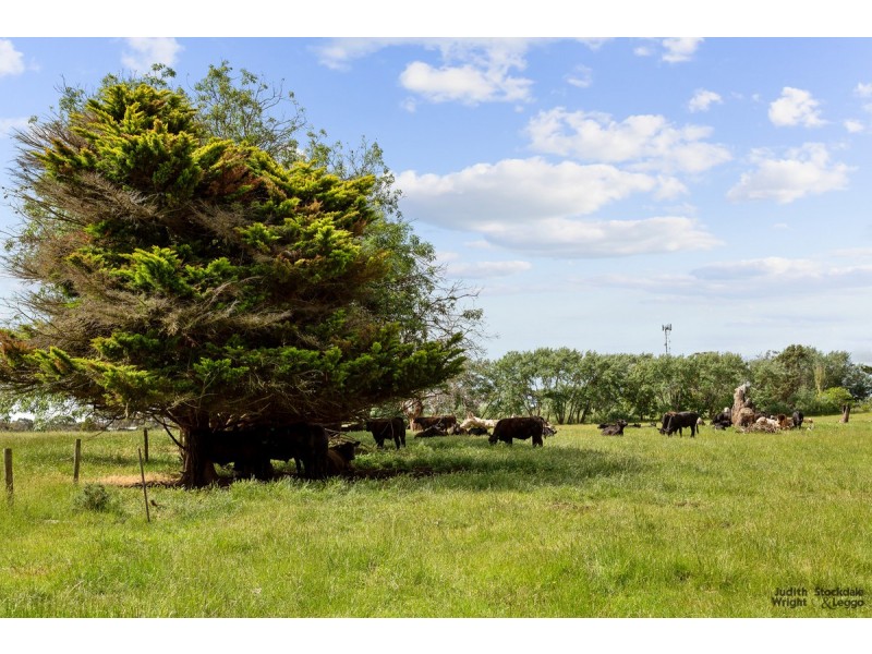 Villa 106/2128 Phillip Island Road, Cowes VIC 3922