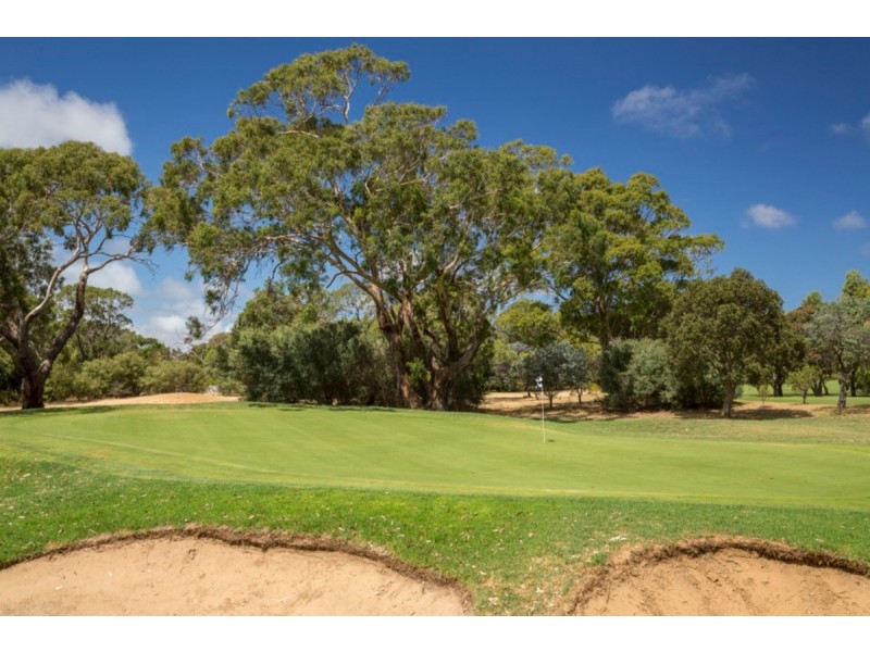 8 Woodland Avenue, Silverleaves VIC 3922