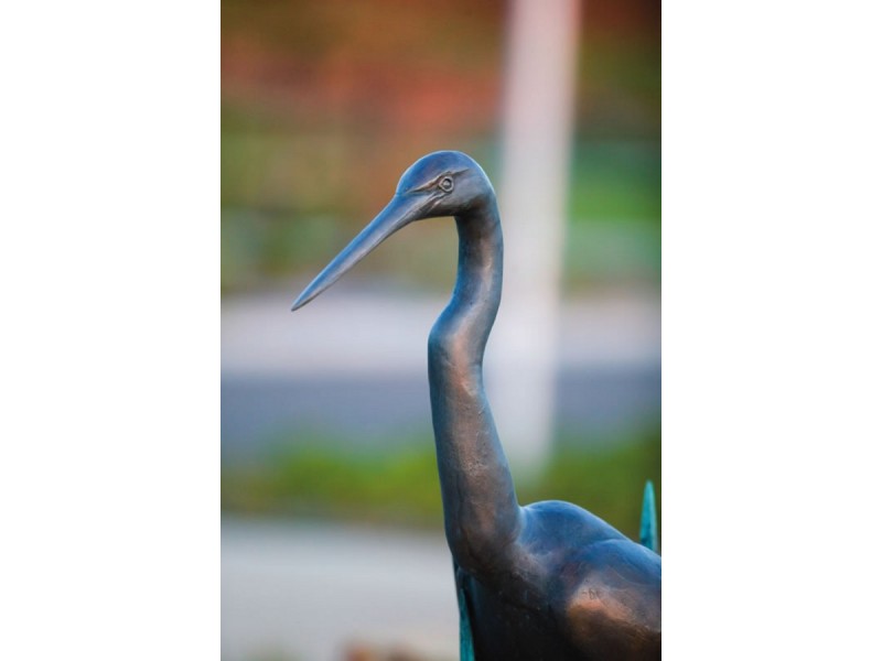 Lot 656, 23 Firetail Place, Cowes VIC 3922