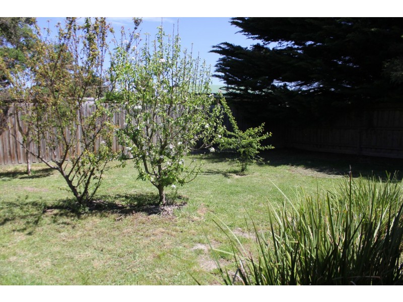 49 Phillip Island Road, Sunset Strip VIC 3922