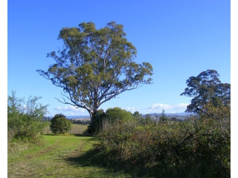 299-301 Newtown Road, Bega NSW 2550