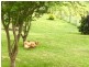690 Candelo Bega Road, Bega NSW 2550