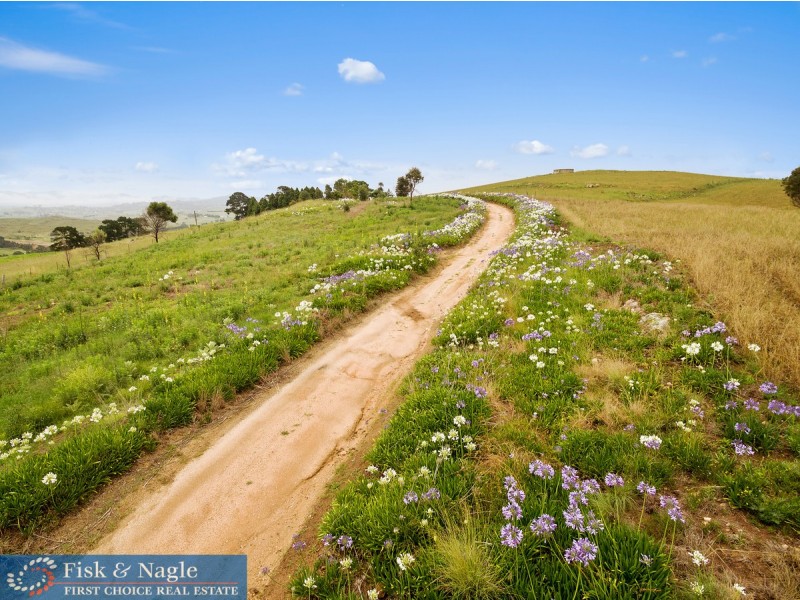 690 Candelo Bega Road, Bega NSW 2550