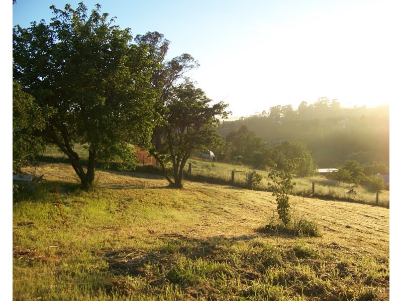 14 Candelo Street, Candelo NSW 2550