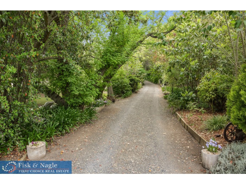 20 Tantawangalo Mountain Road, Candelo NSW 2550