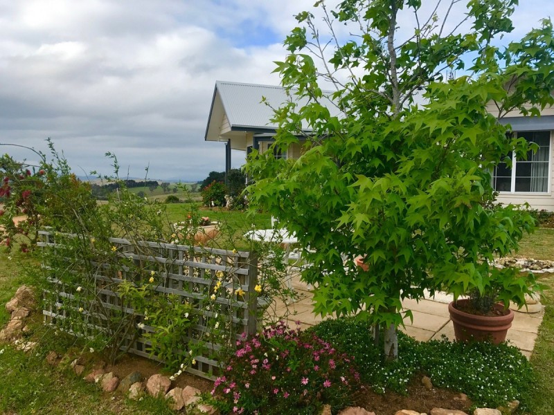 19 Ramseys Road, Candelo NSW 2550