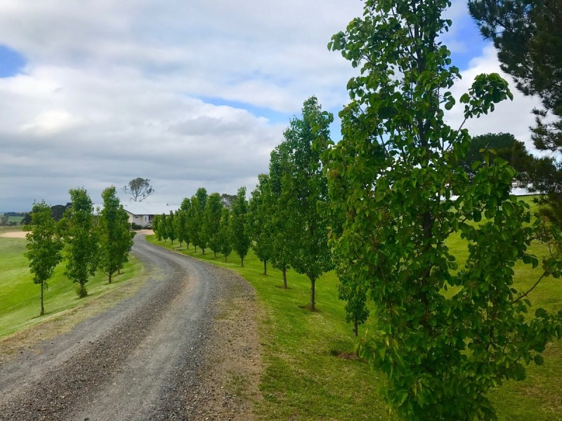 19 Ramseys Road, Candelo NSW 2550