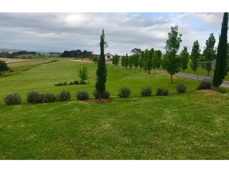 19 Ramseys Road, Candelo NSW 2550