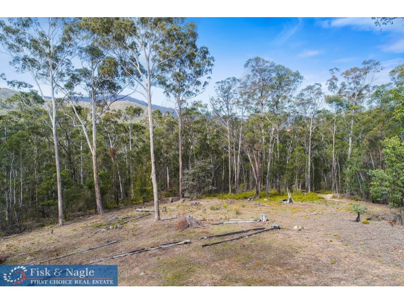 570 Fulligans Road, Pericoe NSW 2550