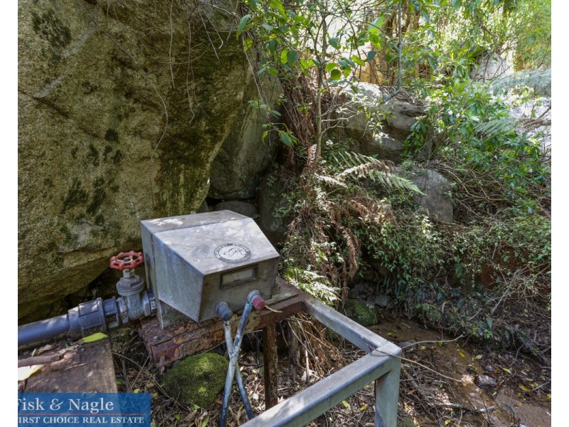 269 Buckleys Road, Bemboka NSW 2550