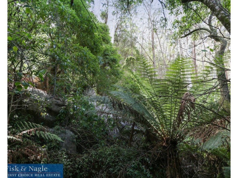 269 Buckleys Road, Bemboka NSW 2550