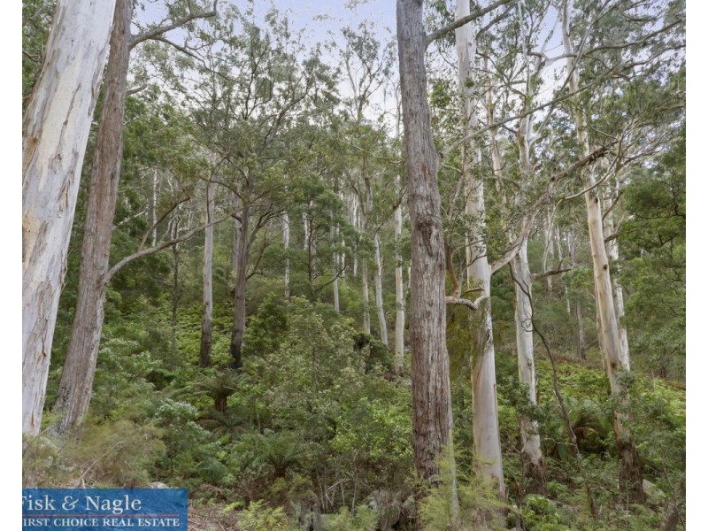 269 Buckleys Road, Bemboka NSW 2550