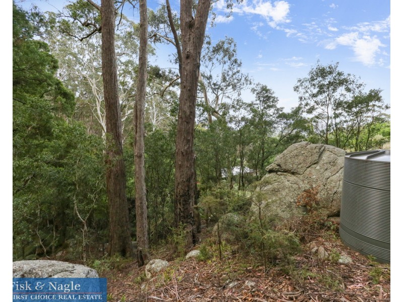 269 Buckleys Road, Bemboka NSW 2550