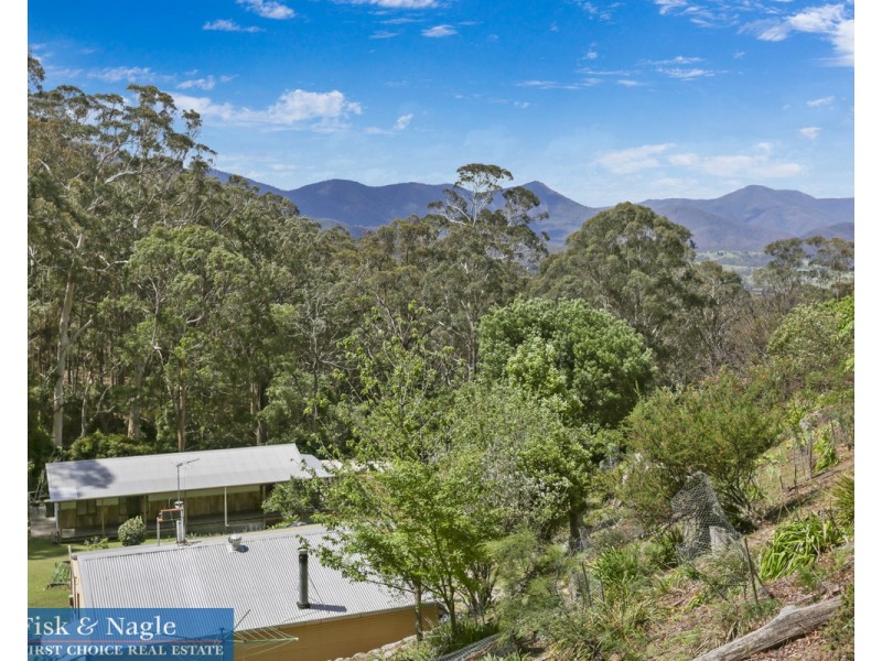 269 Buckleys Road, Bemboka NSW 2550