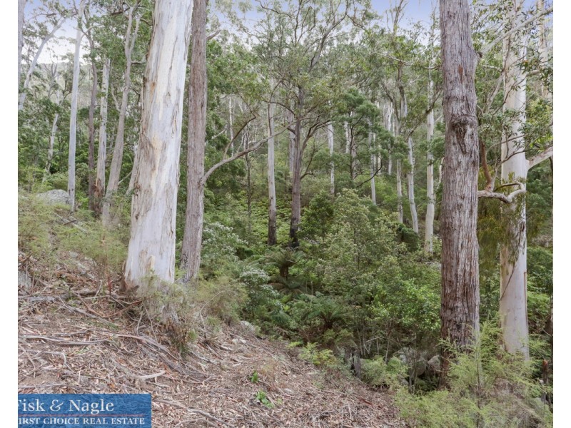 269 Buckleys Road, Bemboka NSW 2550