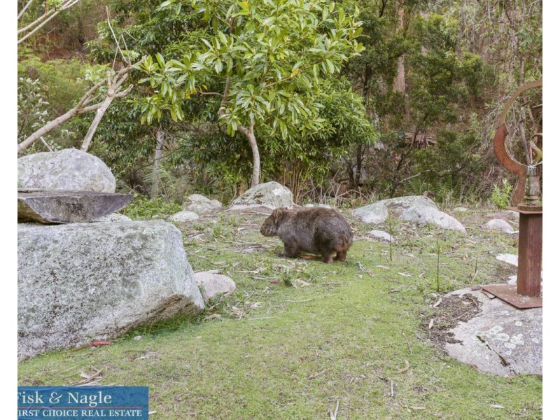 269 Buckleys Road, Bemboka NSW 2550