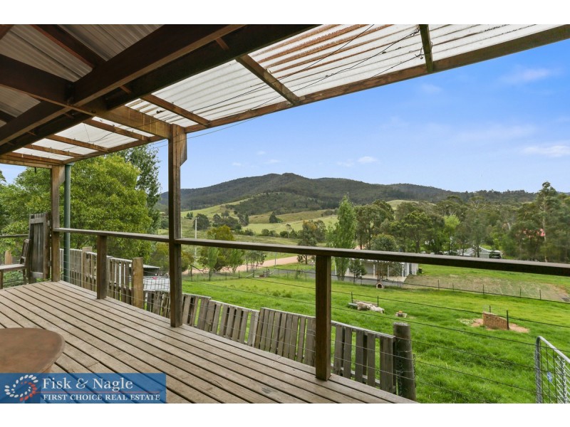 54 Monaro Street, Wyndham NSW 2550