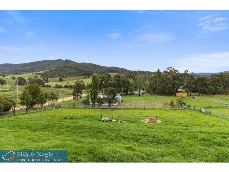54 Monaro Street, Wyndham NSW 2550