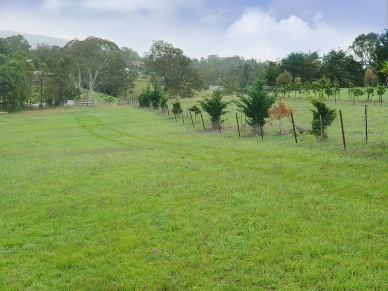 7 Broad Street, Bemboka NSW 2550