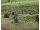 Lot 12 13 14,  Short Street, Candelo NSW 2550