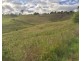 Lot 12 13 14,  Short Street, Candelo NSW 2550