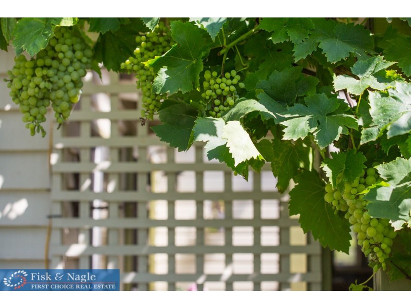 10-16 Kameruka Street, Bemboka NSW 2550