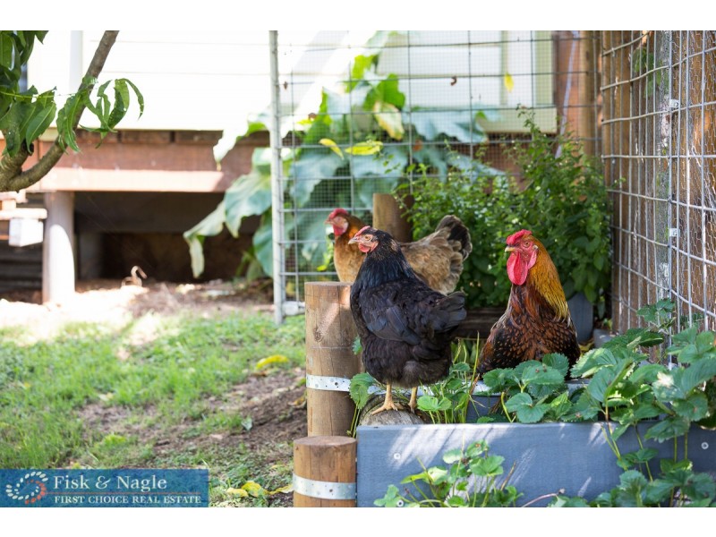 10-16 Kameruka Street, Bemboka NSW 2550