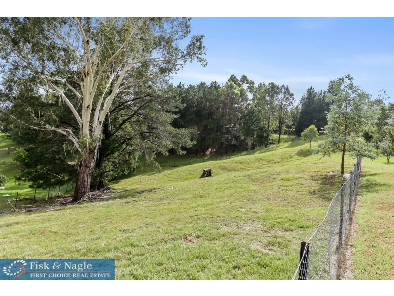 10-16 Kameruka Street, Bemboka NSW 2550