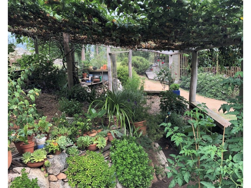 160 Orchard Road, Rocky Hall NSW 2550