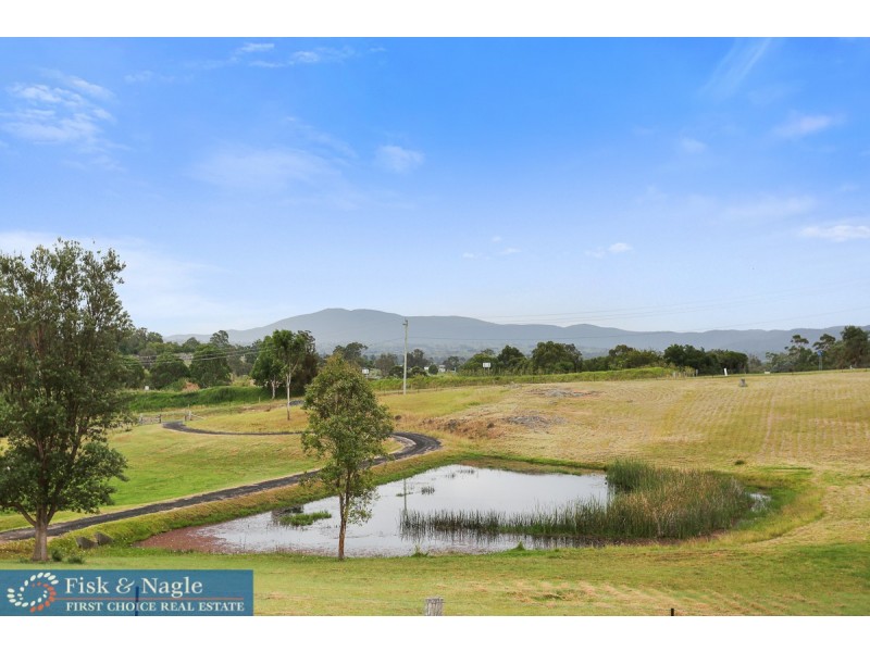 169 Kerrisons Lane, Bega NSW 2550