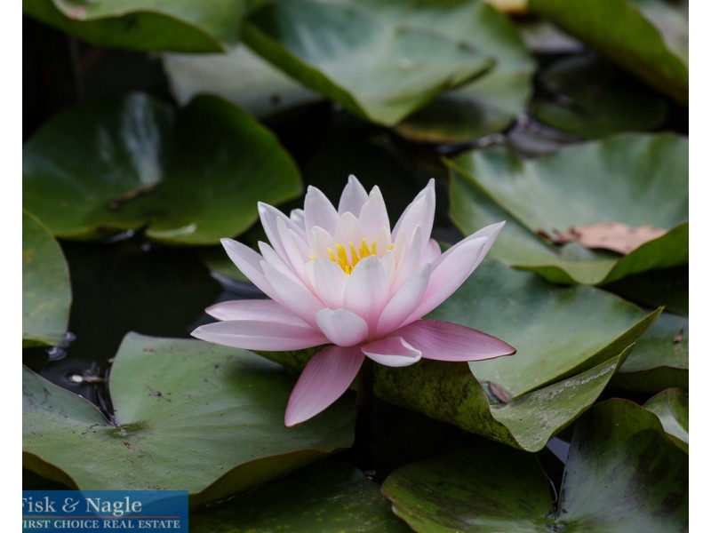 30 Ike Game Road, Kalaru NSW 2550