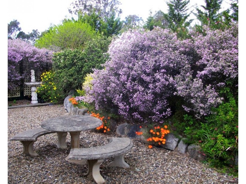 55 Corridgeree Road, Tarraganda NSW 2550